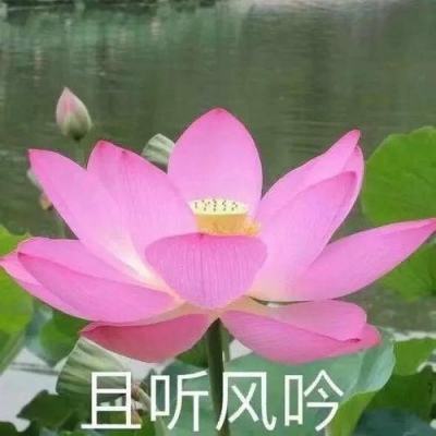 上海召开纪念黄埔军校建校100周年座谈会